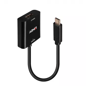 Lindy USB Type C zu DisplayPort 4K144 Konverter, USB Type-C, DisplayPort-Ausgang, 3840 x 2160 Pixel