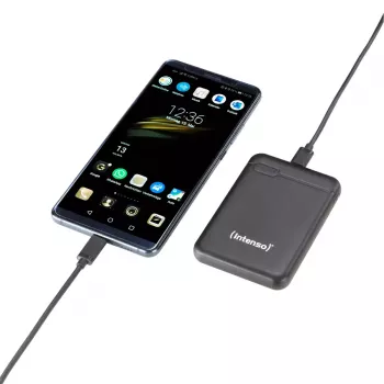 Intenso 7313520 Powerbank 5000 mAh