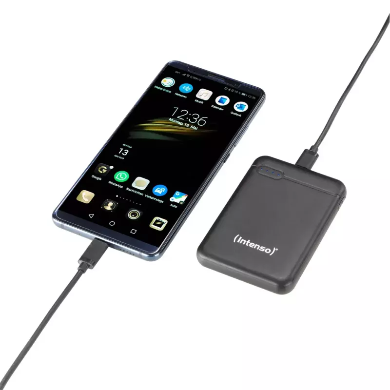 Intenso 7313520 Powerbank 5000 mAh