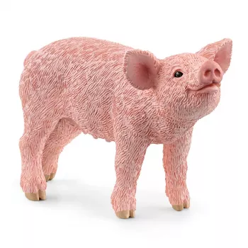 schleich FARM WORLD Ferkel, 3 Jahr(e), Bauernhof, Bauernhoftiere / Bauernhofspielzeug, Pink, Kunststoff