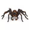 schleich Harry Potter Aragog, 6 Jahr(e), Magische Kreaturen, Schwarz, Braun, Weiß, Kunststoff
