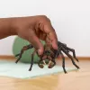 schleich Harry Potter Aragog, 6 Jahr(e), Magische Kreaturen, Schwarz, Braun, Weiß, Kunststoff