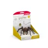 schleich Harry Potter Aragog, 6 Jahr(e), Magische Kreaturen, Schwarz, Braun, Weiß, Kunststoff