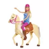 Barbie Puppe und Pferd, Modepuppe, Weiblich, 3 Jahr(e), Mädchen, 250 mm, 480 g