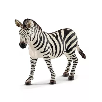schleich WILD LIFE Zebra weiblich, 3 Jahre, Safari, Wildtiere / Abenteuerspielzeug, Mehrfarbig, Kunststoff, 1 Stück