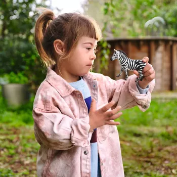 schleich WILD LIFE Zebra weiblich, 3 Jahre, Safari, Wildtiere / Abenteuerspielzeug, Mehrfarbig, Kunststoff, 1 Stück