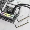 DIMM 64 GB DDR5-6400 (2x 32 GB) Dual-Kit, Arbeitsspeicher weiß, AX5U6400C3232G-DCLARWH, Lancer RGB, INTEL XMP