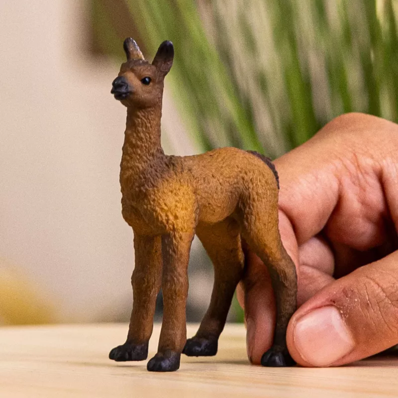 schleich FARM WORLD Lama Fohlen, 3 Jahr(e), Farm, Bauernhoftiere / Bauernhofspielzeug, Mehrfarbig