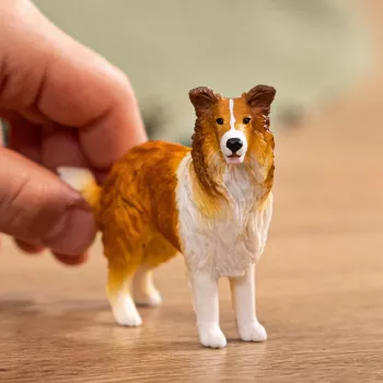schleich FARM WORLD Collie, 3 yr(s), Bauernhof, Bauernhoftiere / Bauernhofspielzeug, Mehrfarbig