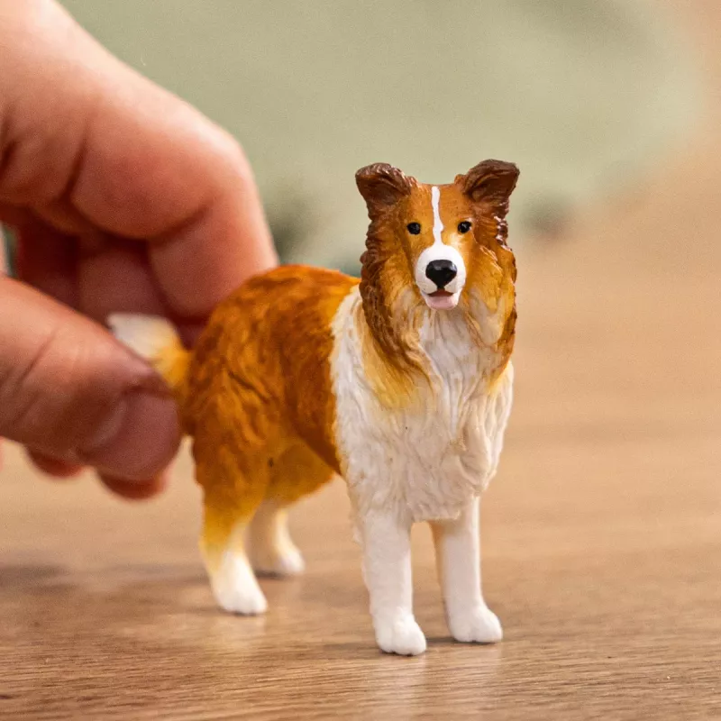 schleich FARM WORLD Collie, 3 yr(s), Bauernhof, Bauernhoftiere / Bauernhofspielzeug, Mehrfarbig
