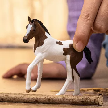 schleich HORSE CLUB Paint Horse Fohlen, 5 Jahr(e), Pferde, Mehrfarbig