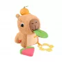 Spielzeug-Wasserschwein Fisher-Price Snuggly Snacky Capy 0,5 Jahre
