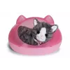 BABY born My Cat Cookie mit Box, Puppenhaustier, 3 Jahr(e), Batterien erforderlich