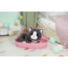 BABY born My Cat Cookie mit Box, Puppenhaustier, 3 Jahr(e), Batterien erforderlich