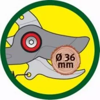 Astschere WOLF-Garten RR-VM