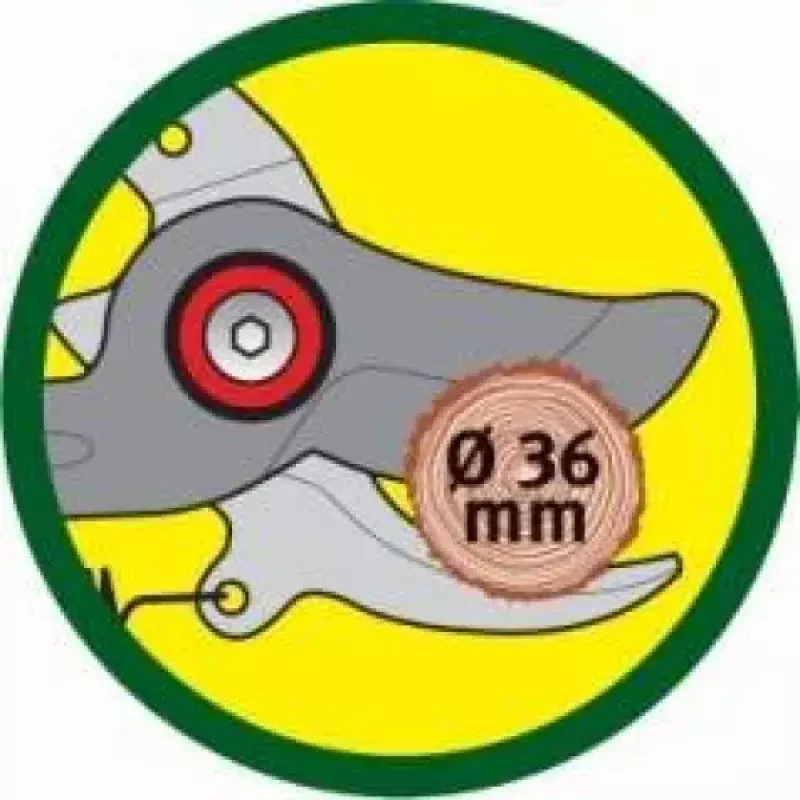 Astschere WOLF-Garten RR-VM