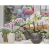Pumpzerstäuber Gardena 11114-20