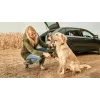 Bosch Fontus 18V Hochdruckreiniger Aufrecht Batterie