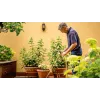 Bosch GardenPump18V-2000 (1x2,5Ah) 2000 l/h