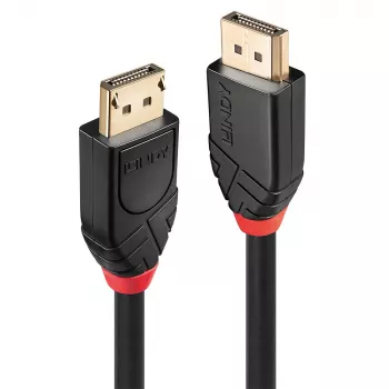 Lindy 20m aktives DisplayPort 1.2 Kabel