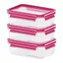 EMSA 515582 Vorratsdose Rechteckige Dose 0,55 L Pink, Transparent 3 Stück