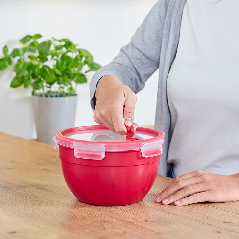 Box EMSA N10605 Rund 1,1 L Rot Transparent 95 mm 16,7 cm
