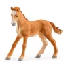 schleich HORSE CLUB Reitzentrum am See, Bauernhof, Pferdestall, Pferde, 5 Jahr(e), Mehrfarbig, Kunststoff