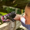 Figur Schleich ELDRADOR CREATURES Schattenlöwe 42555 Sammlerstück