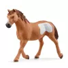 schleich Cowgirl Team Roping Fun, 3 Jahr(e), Mehrfarbig