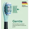 Elektrische Zahnbürsten-Aufsteckbürsten-Packung Beurer SC Premium Protection Plus Grün Planet – schwarz, 4er-Pack