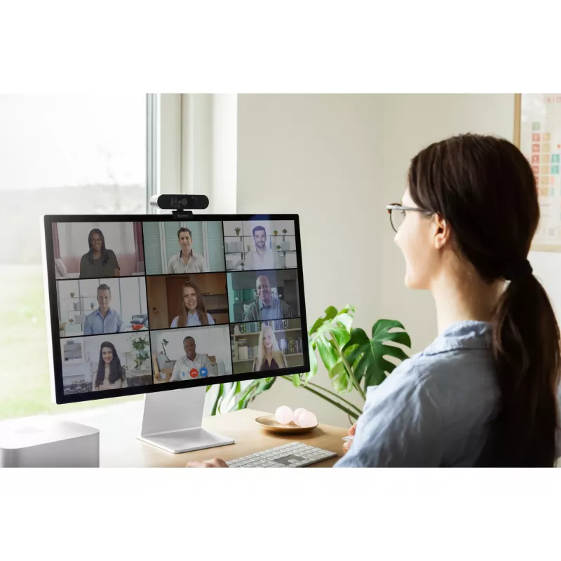 Webcam Sandberg Face-ID Webcam 2