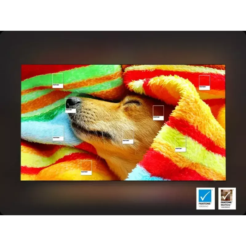 TV Samsung OLED 48 Zoll S90F 4K UHD (3840x2160), 120 Hz, HDR10+ Adaptive, Tizen, 2.1ch 40W