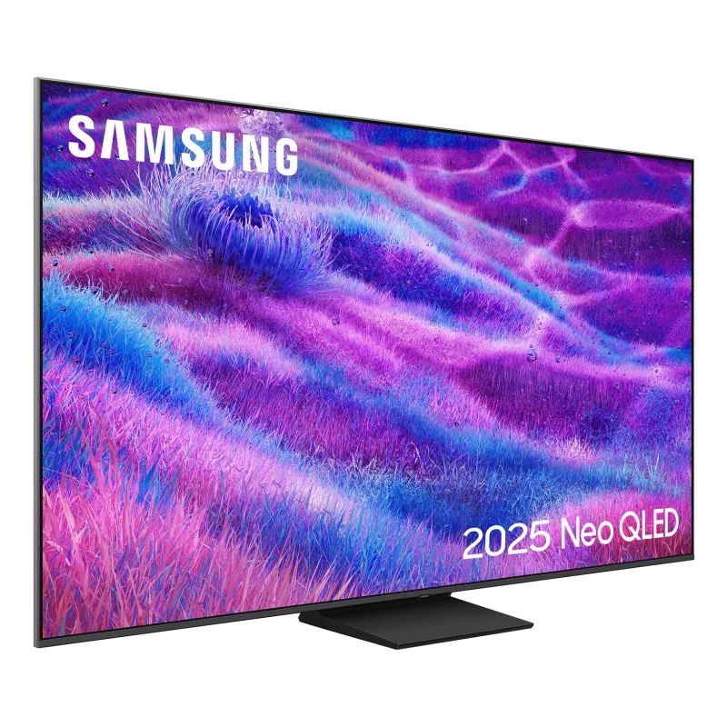 Samsung QE65QN80FAU 165,1 cm (65 Zoll) 4K Ultra HD Smart TV Wi-Fi Silber
