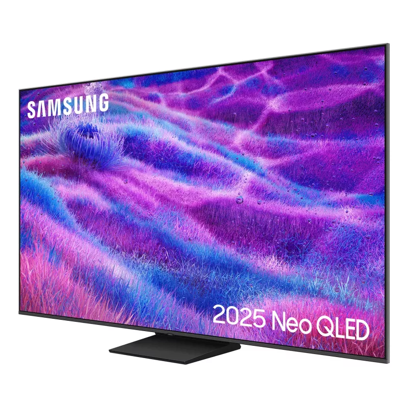 Samsung QE65QN80FAU 165,1 cm (65 Zoll) 4K Ultra HD Smart TV Wi-Fi Silber