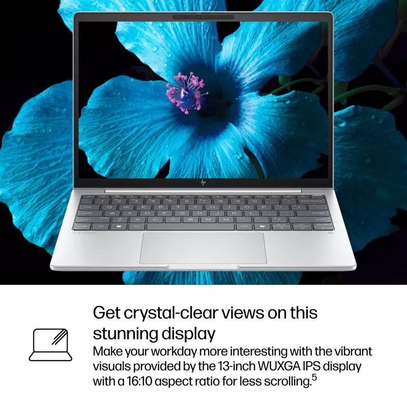 HP EliteBook 8 G1i AI Intel Core Ultra 5 225U Laptop 33,8 cm (13,3 Zoll) WUXGA 16 GB LPDDR5x-SDRAM Wi-Fi 7 (802.11be) Windows 11 Pro AI PC