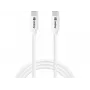Sandberg USB-C USB-C 65W 1M SAVER, 1 m, USB C, USB C, USB 2.0, Weiß