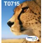 Epson Multipack 4-Farben T071 EasyMail, Standard Yield, Schwarz, Cyan, Magenta, Gelb, 7,4 ml, 5,5 ml, 1 Stk., Multipack