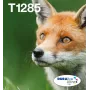 Inkjet-Multipack-Tintenpatronen Epson Fox T128 EasyMail — 4 Farben (Schwarz 5,9 ml; Cyan/Magenta/Gelb 3,5 ml)