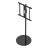 TV-Ständer Gembird TVS-65S-02 Schwarz 165,1 cm 35 kg