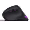 Trust GXT 144 Rexx Maus Gaming Rechtshänder USB Typ-A Optisch 10000 DPI