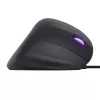 Trust GXT 144 Rexx Maus Gaming Rechtshänder USB Typ-A Optisch 10000 DPI