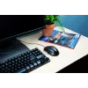 Trust Voca Maus Office Rechtshänder USB Typ-A Optisch 2400 DPI