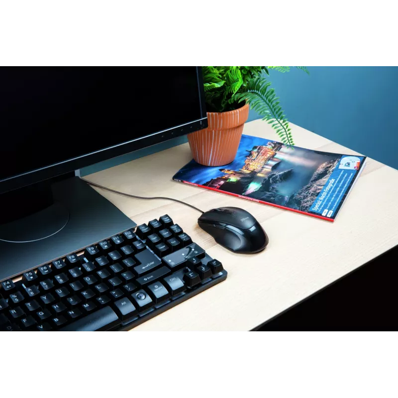 Trust Voca Maus Office Rechtshänder USB Typ-A Optisch 2400 DPI