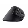 Trust Voxx Maus Büro Rechtshänder RF Wireless + Bluetooth Optisch 2400 DPI
