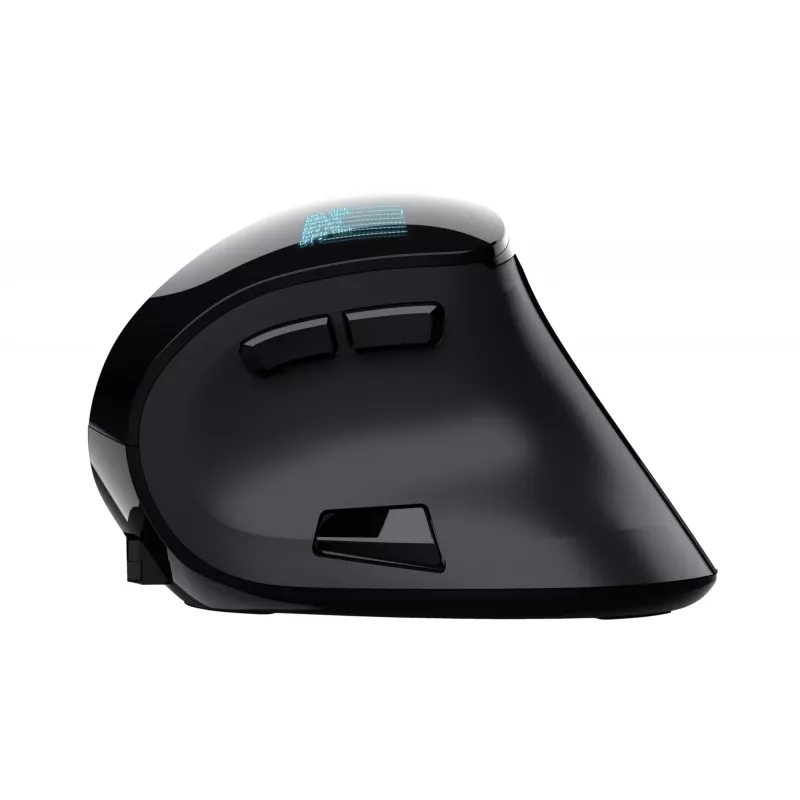 Trust Voxx Maus Büro Rechtshänder RF Wireless + Bluetooth Optisch 2400 DPI
