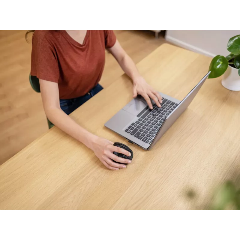 Trust Voxx Maus Büro Rechtshänder RF Wireless + Bluetooth Optisch 2400 DPI