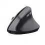 Trust TM-270 Maus Office Rechtshändig RF Wireless Optisch 2400 DPI