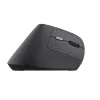 Trust TM-270 Maus Office Rechtshändig RF Wireless Optisch 2400 DPI