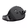 Trust TM-270 Maus Office Rechtshändig RF Wireless Optisch 2400 DPI