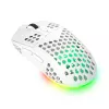 Trust GXT 929 Helox Maus Gaming Rechtshänder RF Wireless Optisch 4800 DPI